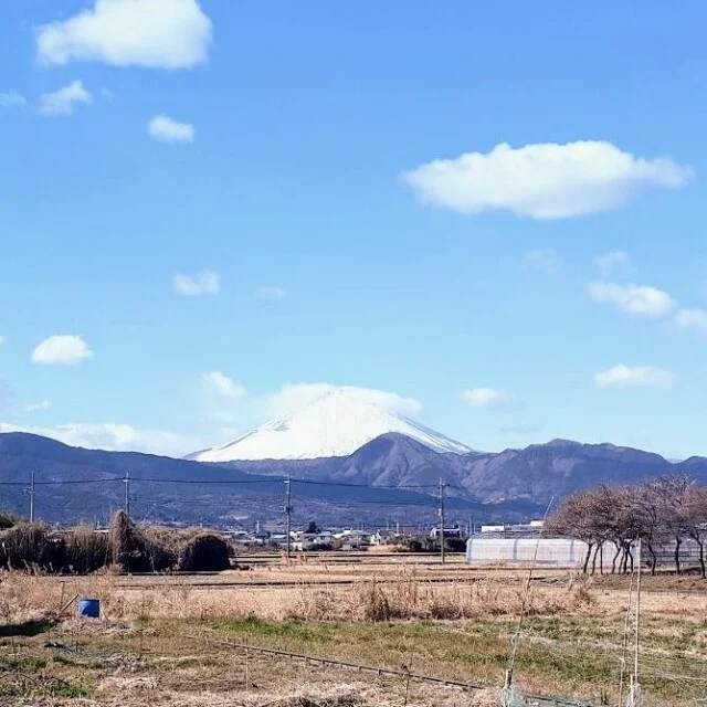 子どもも大人も楽しめる！東京から行く【週末日帰り小田原旅行】プラン_1_5