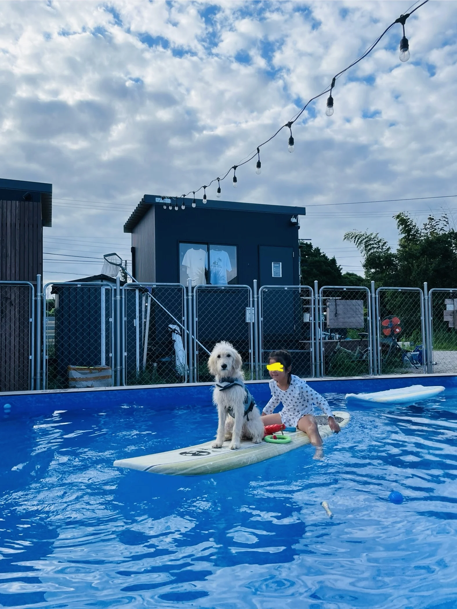 愛犬家さんにオススメ。ワンちゃんと一緒に入れるプール！