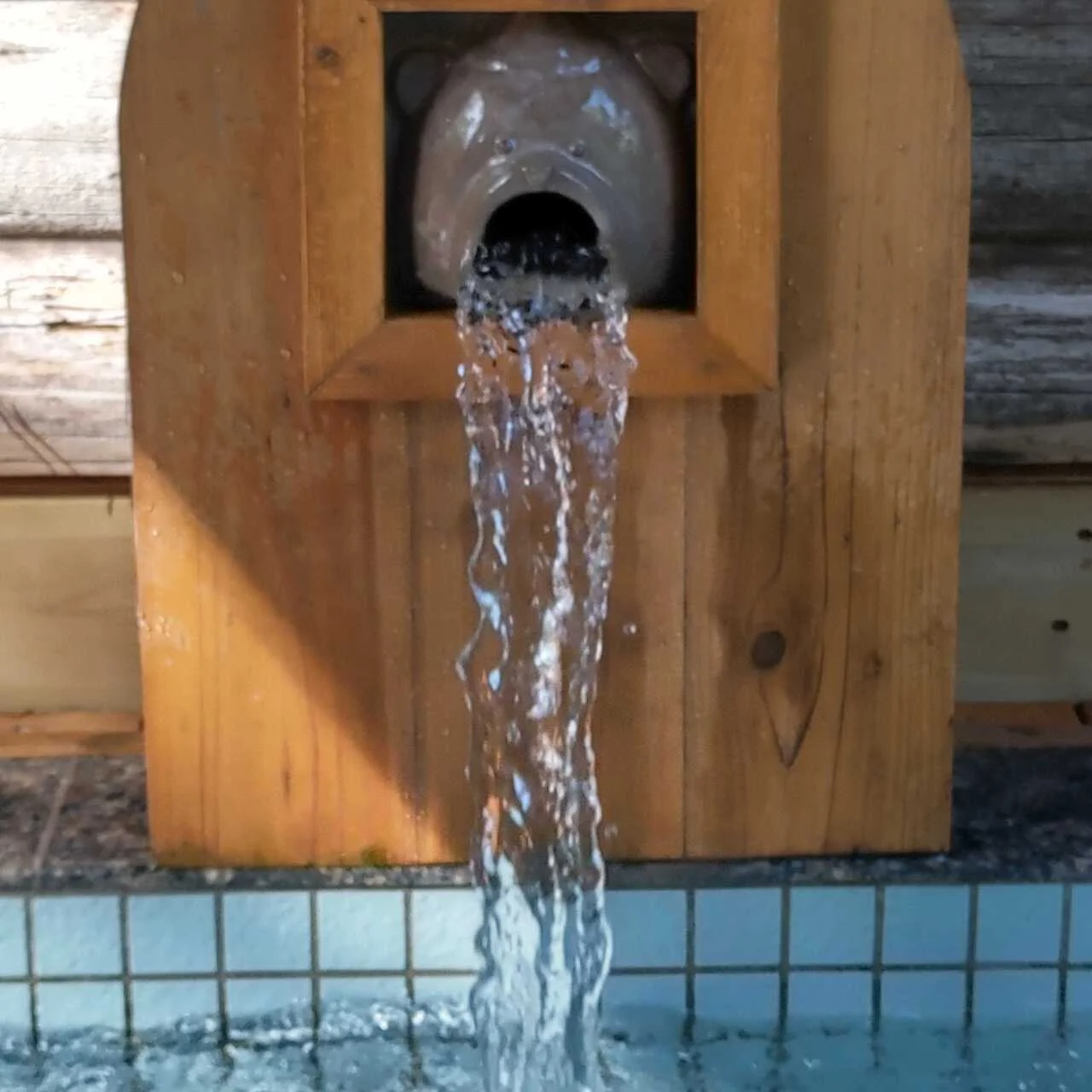 The sauna　サウナ　フィンランドサウナ　　水風呂　天然水　