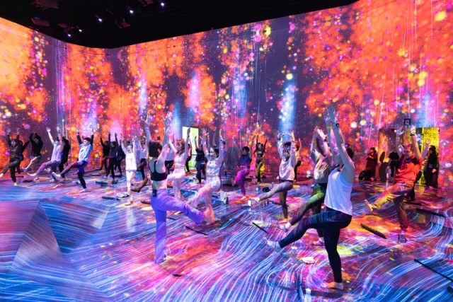 「森ビル デジタルアート ミュージアム：エプソン チームラボボーダレス」麻布台ヒルズ, 東京