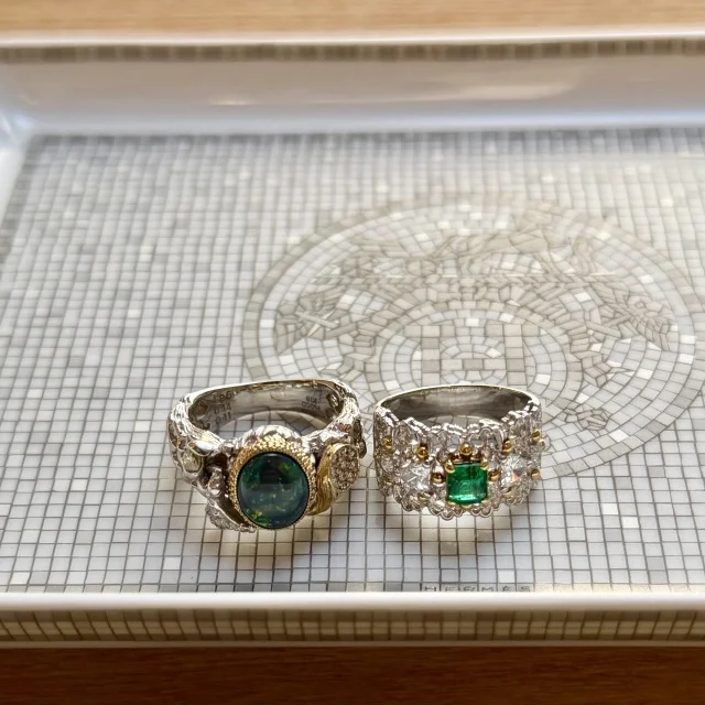 【在日イタリア商工会議所】40代､ドタバタのドレス選びからのガラパーティ初参戦記！_1_3-2