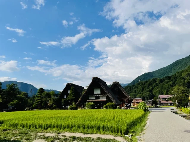 白川郷に行くならぜひ泊まって欲しいお宿！【城山館】