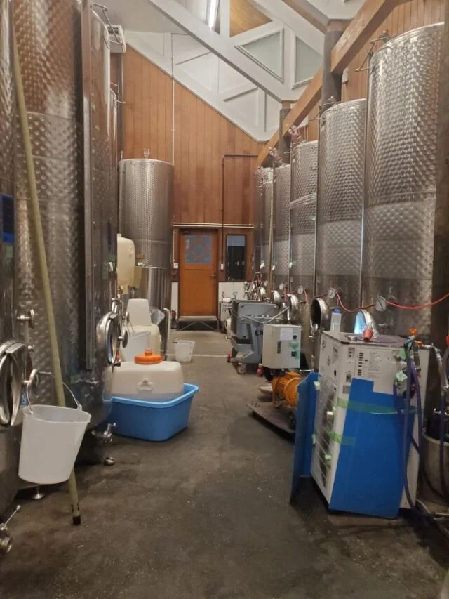 カーヴドッチワイナリーツアー　醸造所も見学