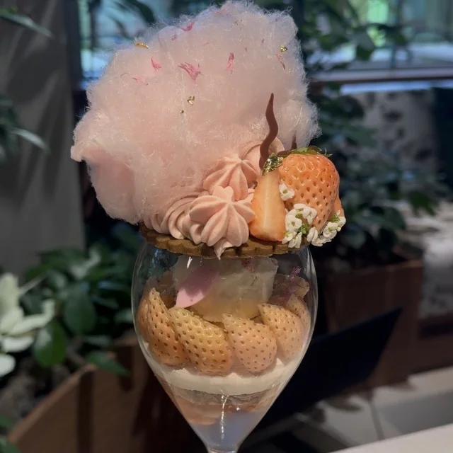 SALON BAKE &amp; TEA