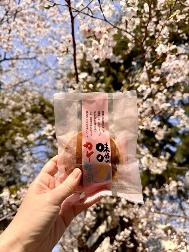 お花見のお供に、衝撃の青森土産【味噌バターカレー牛乳どら焼き】を。_1_7