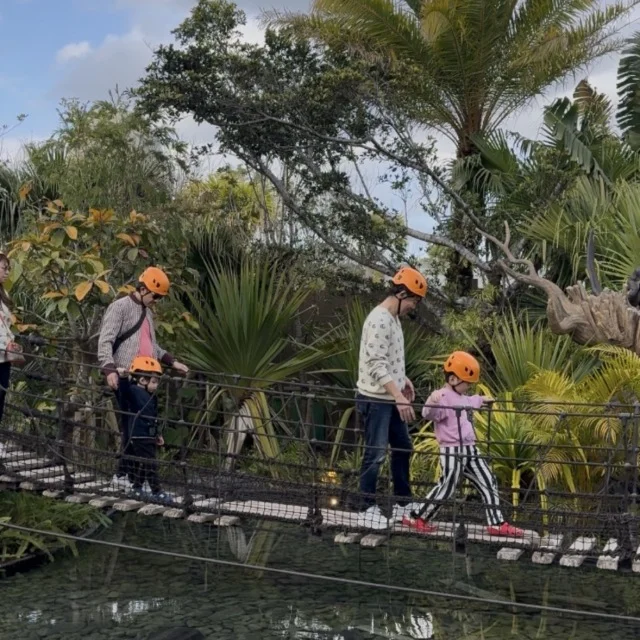 ファインディングダイナソーズ