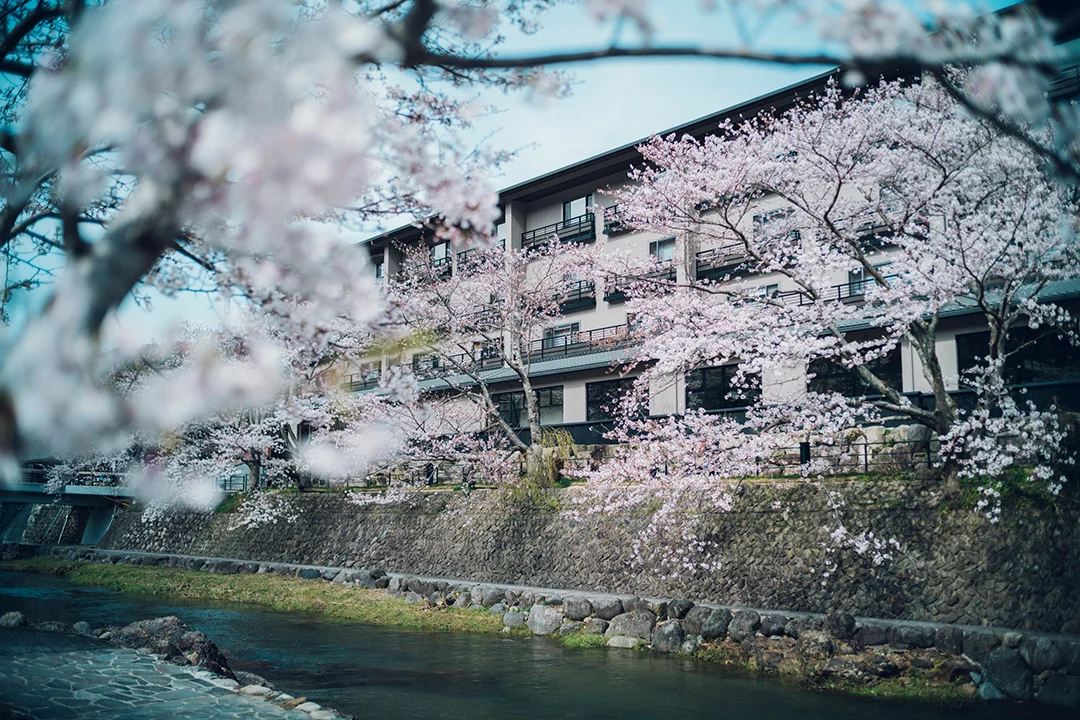 春は満開の桜に囲まれる【界 長門】