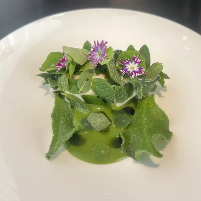 店内のグリーンとリンクします