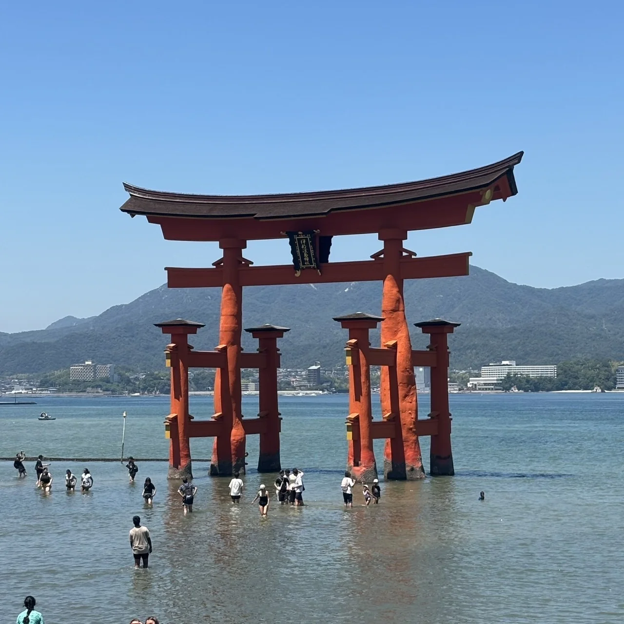 【秋旅におすすめ！】美味しい広島を巡る2泊3日