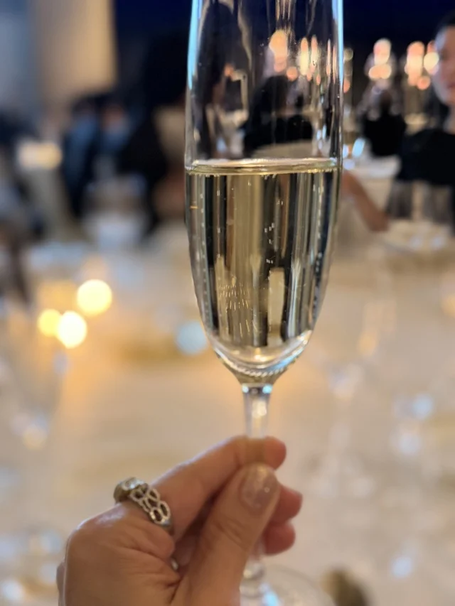 【在日イタリア商工会議所】40代､ドタバタのドレス選びからのガラパーティ初参戦記！_1_8-3