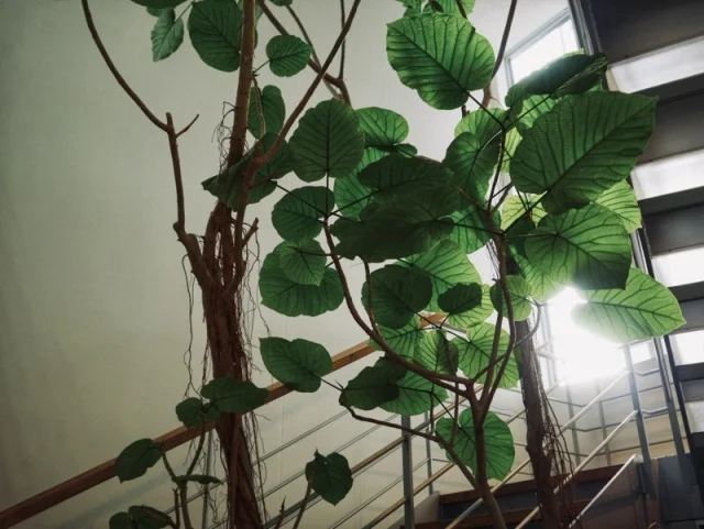   都心から70分。BOTANICAL POOL CLUBで叶える 五感が喜ぶ冬のウェルネス旅_1_3-2