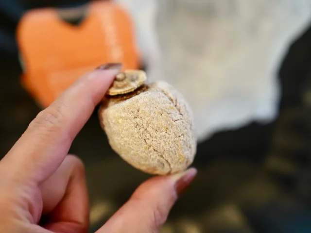 \3,000円以内で買える/ もらってうれしいプチ手土産3選_1_3-2