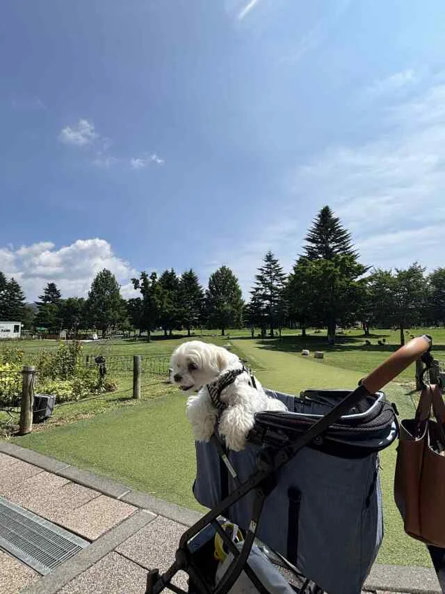 2025年最高だった“食＆旅”BEST３！ラン活帰省に話題の焼肉など...♡_1_16-2