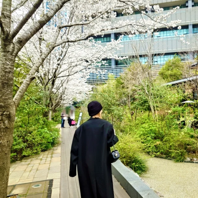 東京は桜が満開です♡_1_7