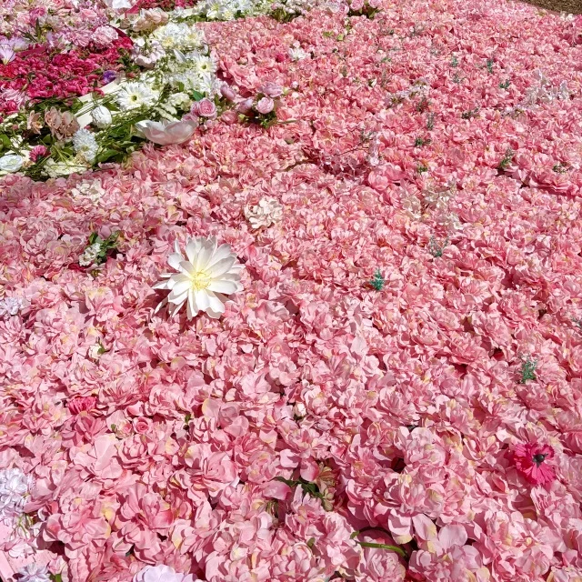 花咲くカーペットを眺めながら楽しむ“お花見団子アフタヌーンティー”_1_4