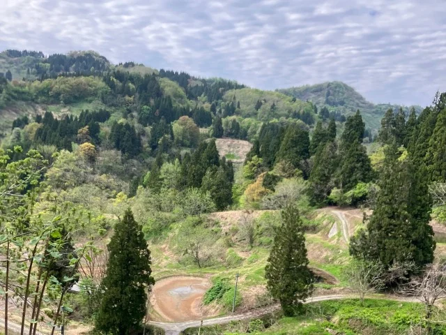 【GW家族旅行】１泊２日で地元・新潟県長岡市へ帰省して「山菜採り」と「地元グルメ」を満喫してきました！_1_1-1