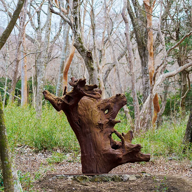 大人日帰り旅 ① 箱根  POLA美術館_1_14