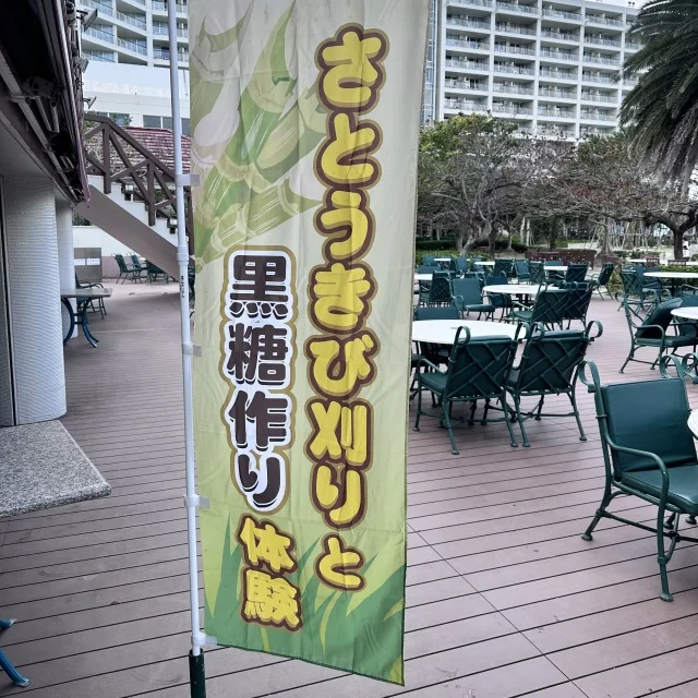 【子連れ沖縄レポ①】冬の隠れ家「ココガーデン」に3連泊！9歳・6歳が夢中になったルネサンスでのサトウキビ狩り_1_7-1