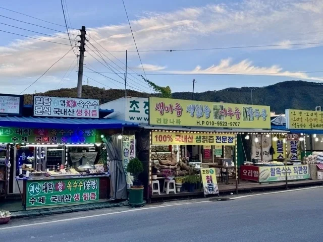 円安時代の海外旅行。体験重視で楽しむ新しい旅のかたち【トラベル】_1_21