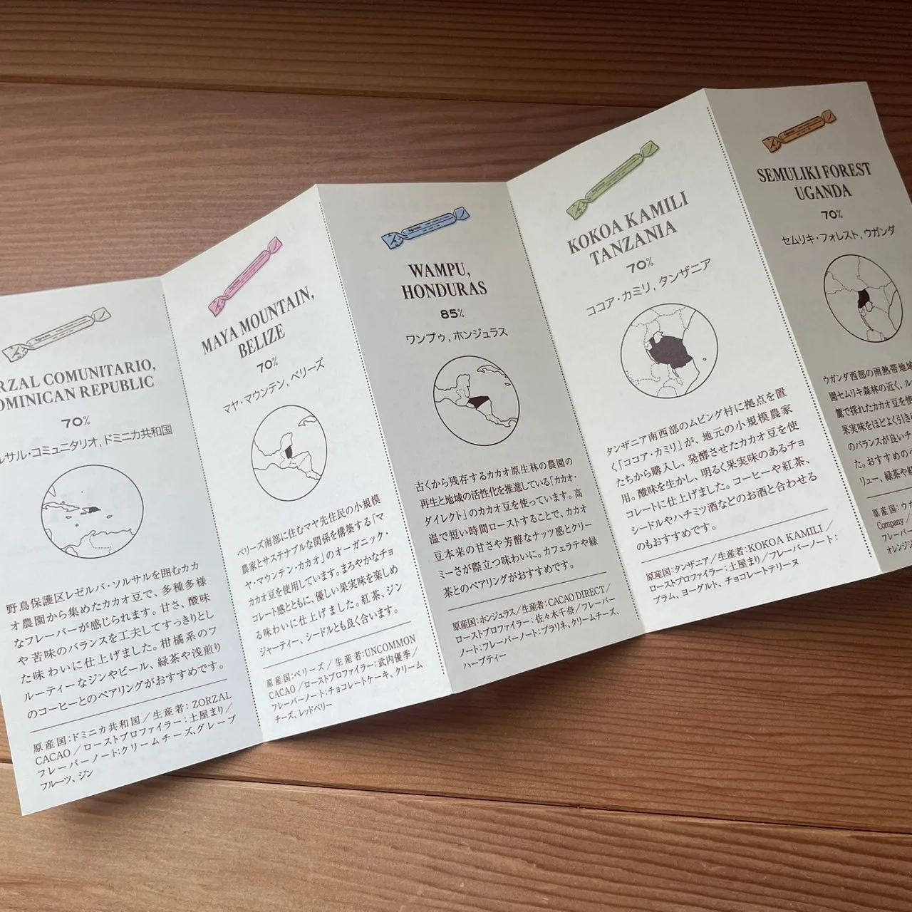 ファイブグラムス　リーフレット