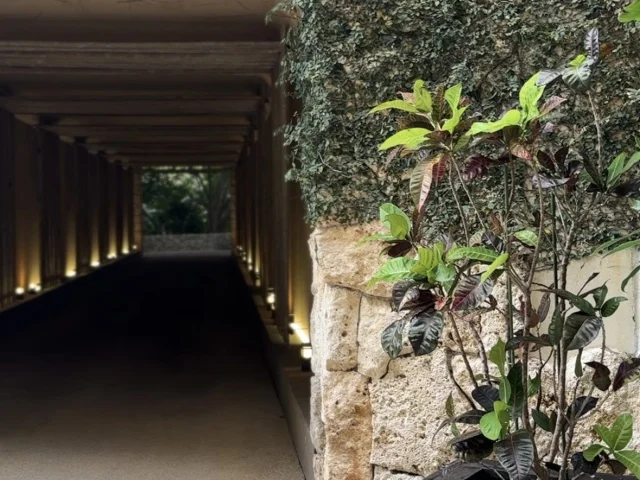 ザ・リッツ・カールトン沖縄【スパ】で過ごす　至福のウェルネス時間_1_18-1