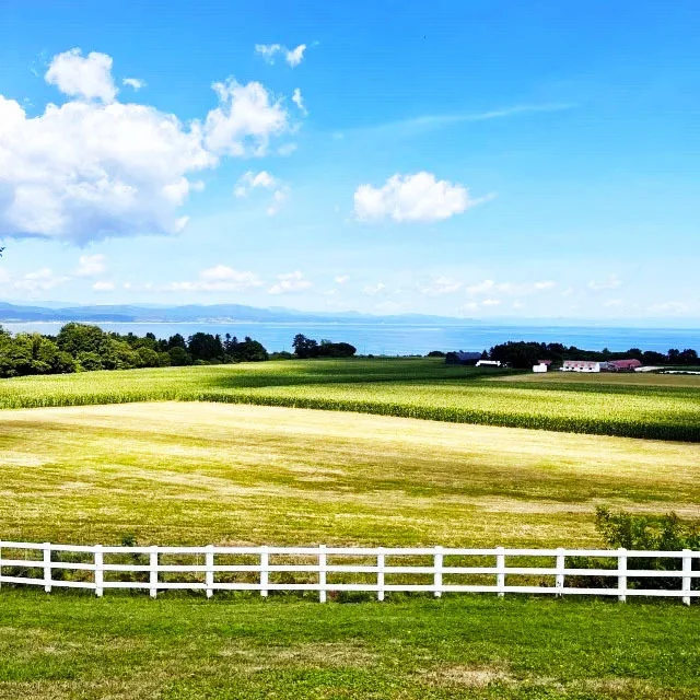 秋の週末旅にぴったり！ 北海道・東北・四国・九州で楽しむ絶景＆グルメ旅