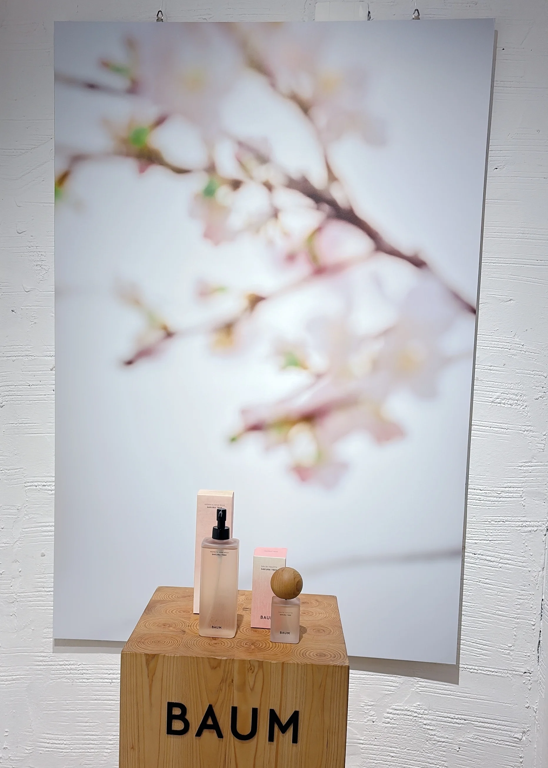  桜のフレグランスも！ 早春にまといたいおすすめの香りまとめ　BAUM：サクラツリー　発表会の写真