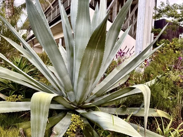   都心から70分。BOTANICAL POOL CLUBで叶える 五感が喜ぶ冬のウェルネス旅_1_12