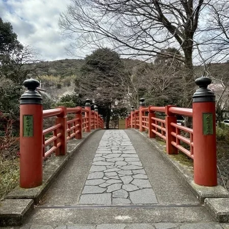 【大人の贅沢旅】美女組おすすめ！ 心も体も満たす極上旅館＆絶品グルメレポ_1_38-1