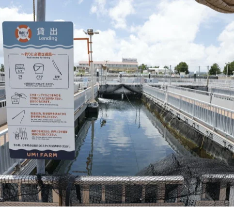 【海育体験】横浜・八景島シーパラダイス「うみファーム」で釣って食べる休日_1_2