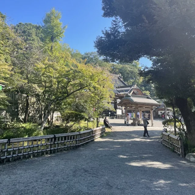 緑に囲まれた深大寺境内