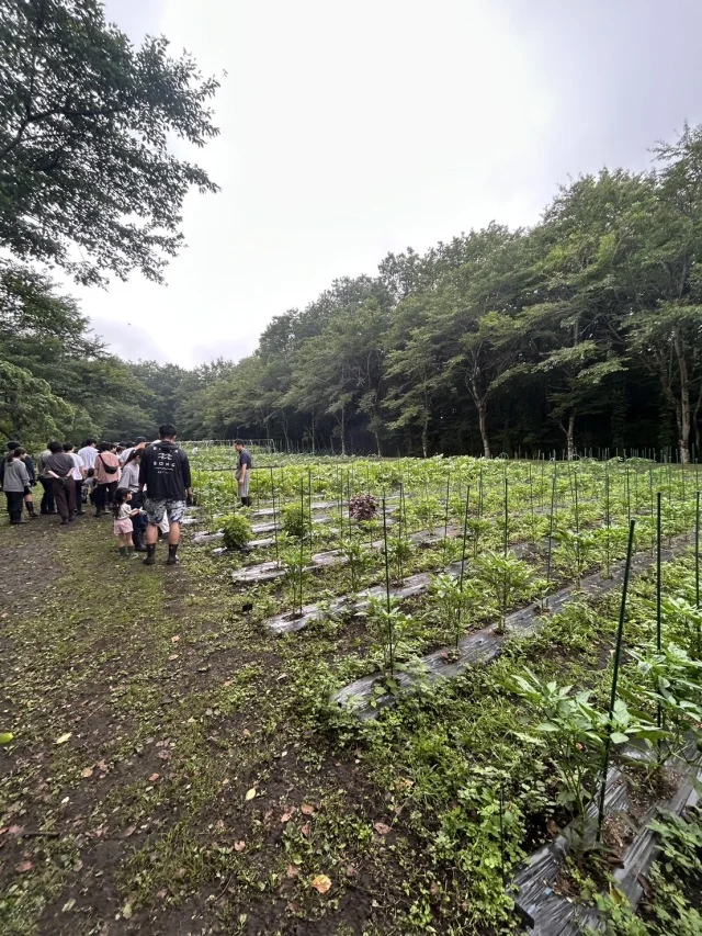 リゾナーレ那須宿泊記 Vol.３｜朝のご褒美タイム。自然と遊ぶ、味わう体験_1_6-1