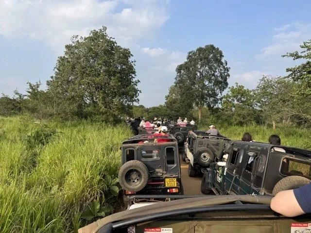 円安時代の海外旅行。体験重視で楽しむ新しい旅のかたち【トラベル】_1_43