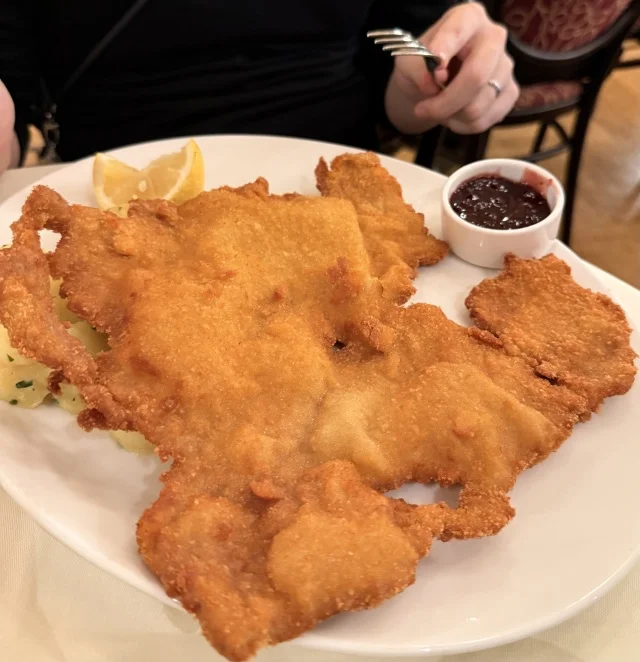 ウィーン旅行①｜美女と野獣の図書館＆世界遺産の街を歩く！旧市街観光スポット3選_1_11-1
