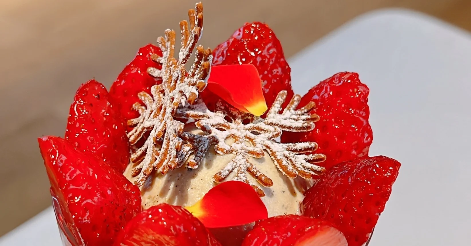 PROUST CREAM （バラ売り可能！） PROUST CREAM （バラ売り可能！）