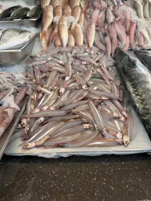 アブダビ アル・ミナ 魚市場
