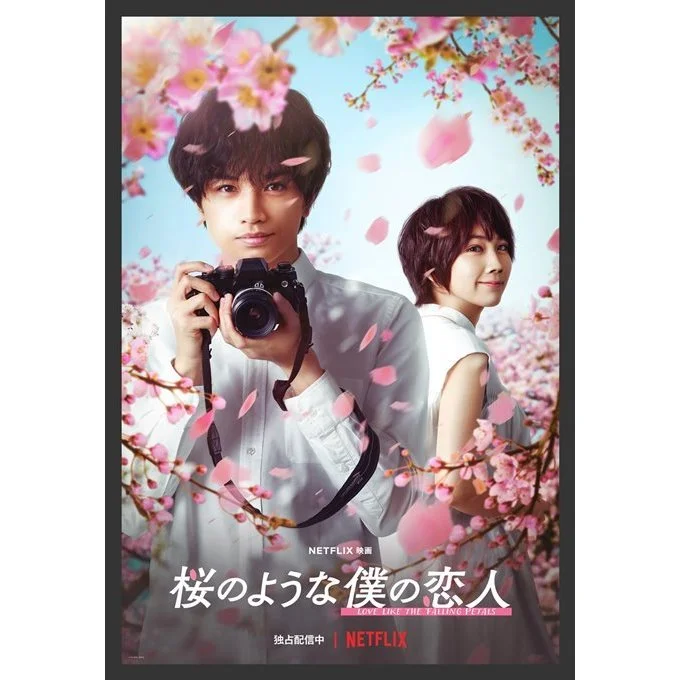 映画『桜のような僕の恋人』メインビジュアル