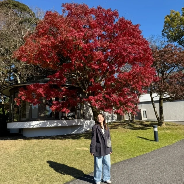 最後の紅葉！もうすぐ終わりを迎えるDIC川村記念美術館_1_8