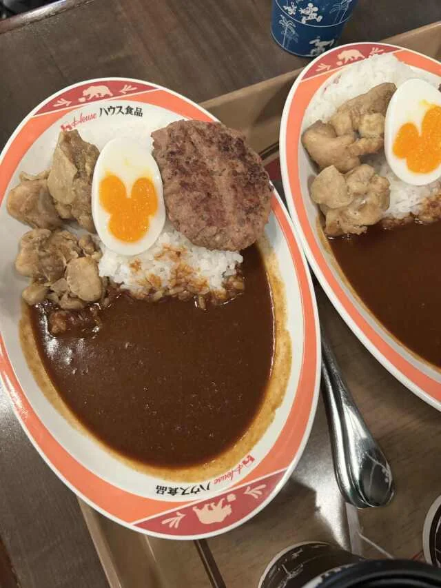 【ディズニーランド初心者＆久々さん向け】大混雑期のお正月子連れディズニー振り返り_1_5-1