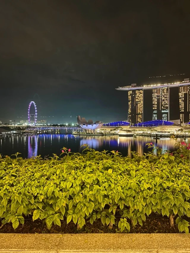 シンガポールらしい夜景