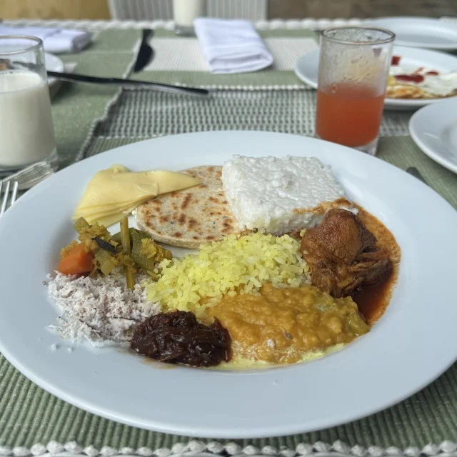 リトルインディアで再会したスリランカの味｜本場の思い出と洗練レストラン_1_12-1