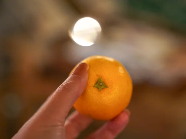 マルシェ　VISON