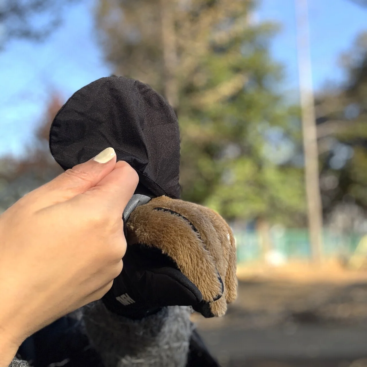 ザ ノースフェイス× ハイクのグローブ