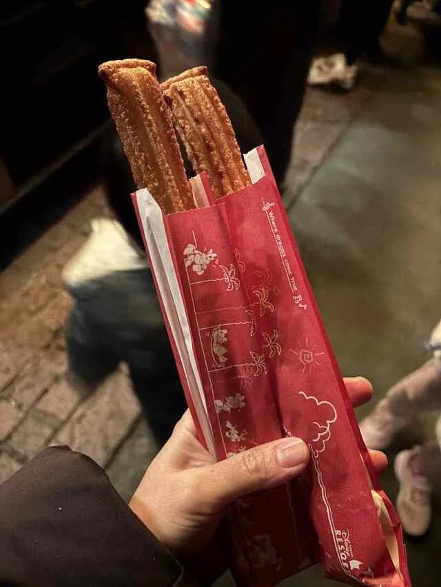 【ディズニーランド初心者＆久々さん向け】大混雑期のお正月子連れディズニー振り返り_1_5-2