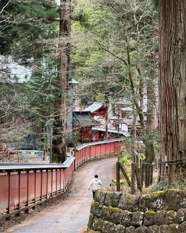 二荒山神社の脇道