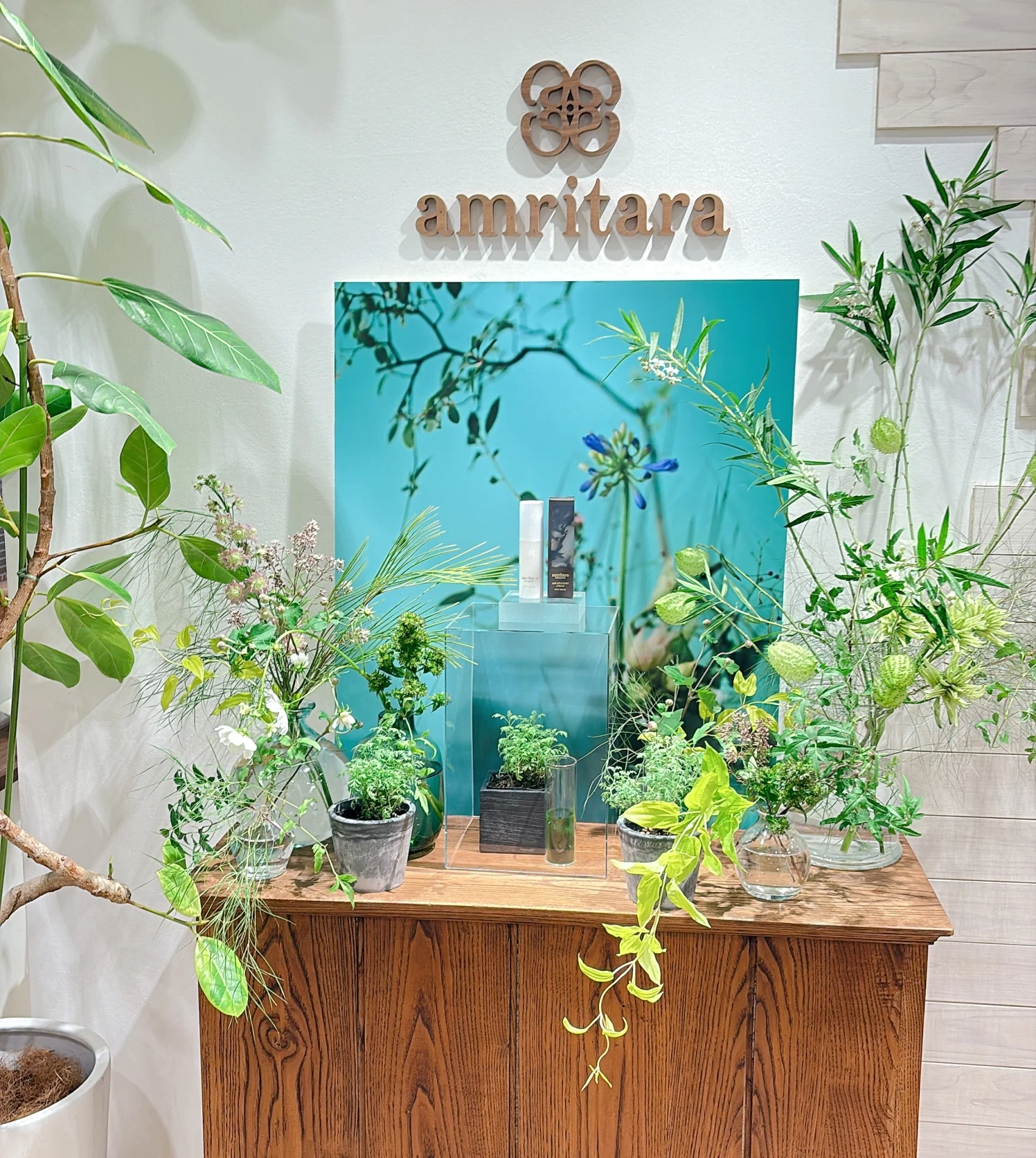 2025 新作コスメ　そんなアムリターラの最高峰ライン・エイジングケアシリーズのクリームがリニューアル。先日行われたお披露目イベントに参加してきました。   会場となったのは、アムリターラの本社。クリやヒノキ、スギといった国産の木材を使い、壁紙の材質にもこだわり抜いてリノベーションしたというオフィスは、とても居心地のいい空間。そしてエントランスには、この日の主役となるクリームが、美しいグリーンとともに出迎えてくれました