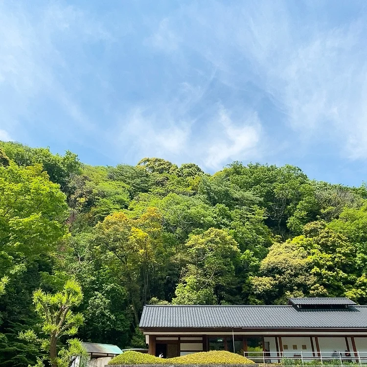 箱根 天山 オファー 石鹸 香り