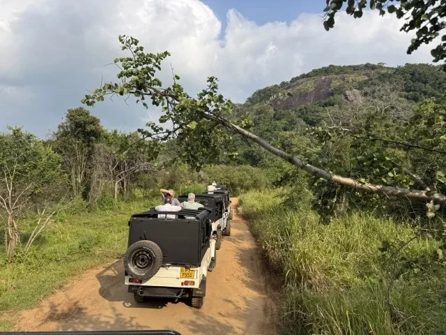 円安時代の海外旅行。体験重視で楽しむ新しい旅のかたち【トラベル】_1_45