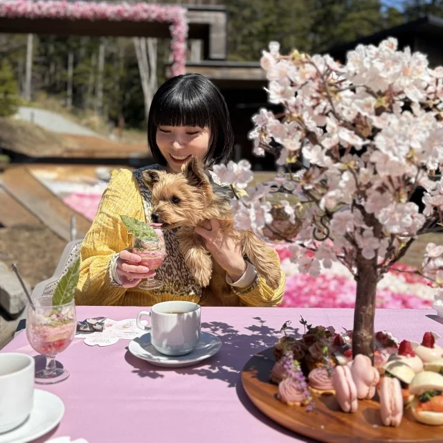 花咲くカーペットを眺めながら楽しむ“お花見団子アフタヌーンティー”_1_13