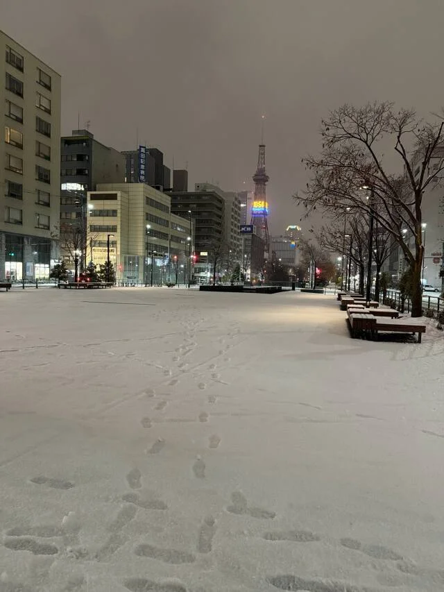 食事をして2時間後には3センチ近く積もってる！